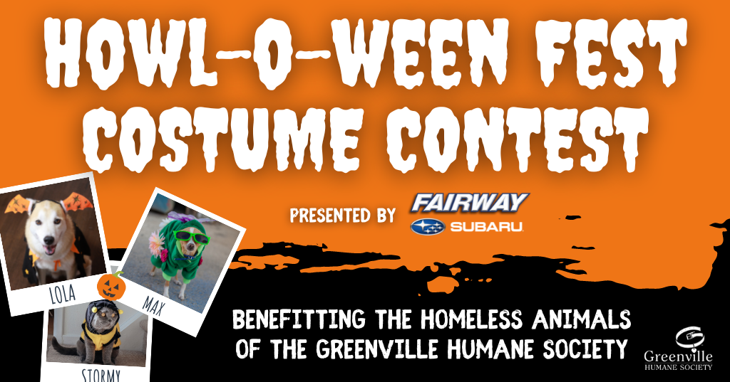 howl-o-ween-pet-costume-contest-360-photo-contest